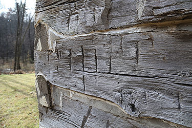 A cabin waits for you along the Appalachian Trail